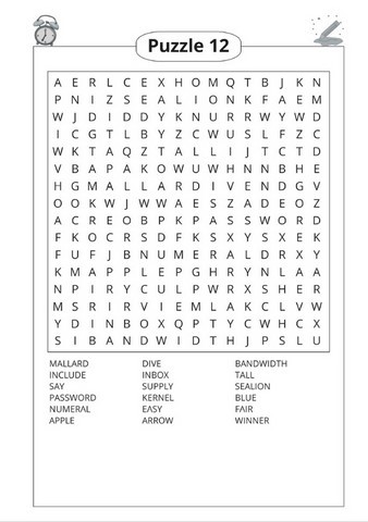 word search puzzle book